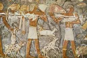 egypt priests ancient priest role offerings egyptian wall offering bearers life ephod paintings daily gods tomb society